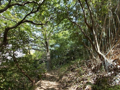 経ケ森(愛媛県松山市)_f0308898_20594939.jpg