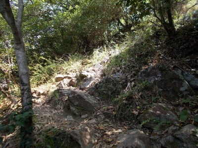 f0308898_20595055.jpg