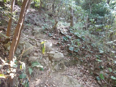 f0308898_20595093.jpg