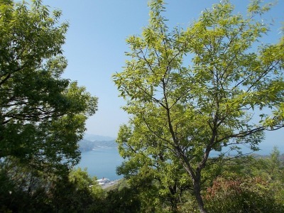 f0308898_20595123.jpg