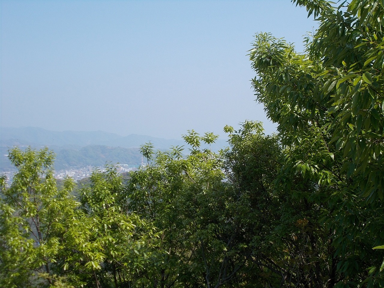 f0308898_21003486.jpg