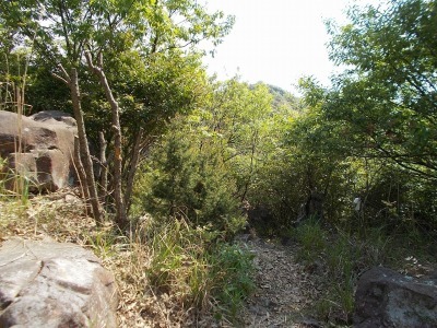 f0308898_21003541.jpg