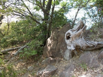 f0308898_21003542.jpg