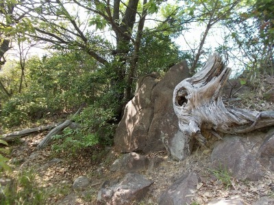 経ケ森(愛媛県松山市)_f0308898_21003542.jpg