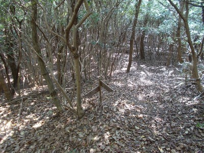 f0308898_21003651.jpg
