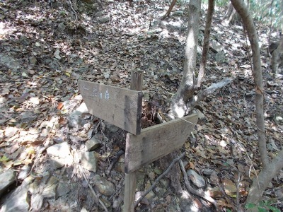 f0308898_21020083.jpg