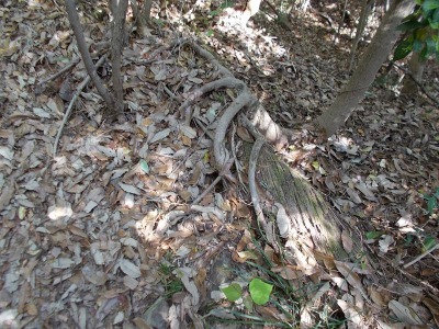 f0308898_21020127.jpg