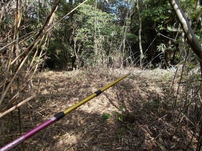 経ケ森(愛媛県松山市)_f0308898_21020157.jpg