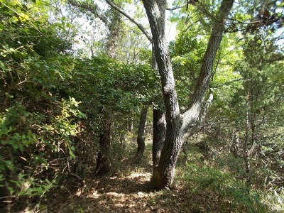 f0308898_21020163.jpg