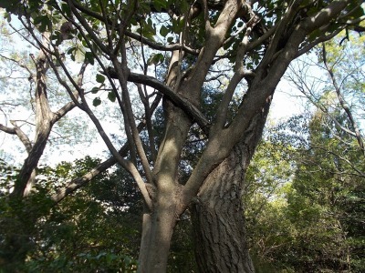 f0308898_21020224.jpg