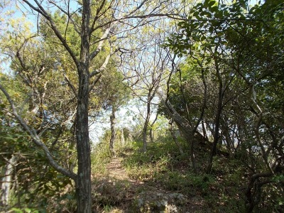 f0308898_21020273.jpg