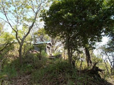f0308898_21020299.jpg