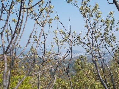 f0308898_21063053.jpg
