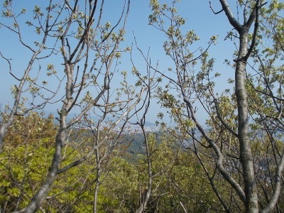 f0308898_21074408.jpg