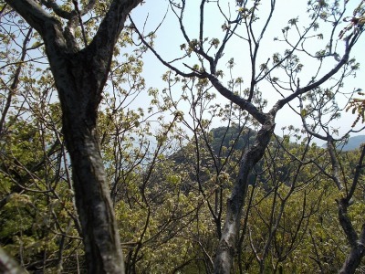 f0308898_21074475.jpg