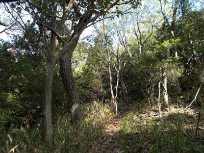 f0308898_21074549.jpg