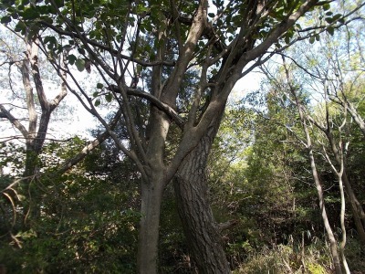 f0308898_21074551.jpg