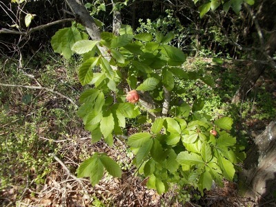 f0308898_21074591.jpg