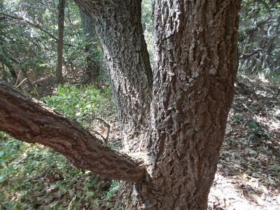 f0308898_21074665.jpg