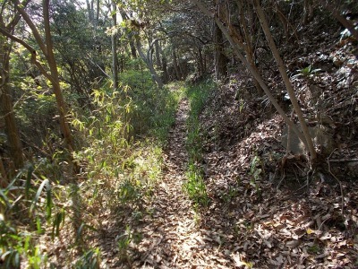 経ケ森(愛媛県松山市)_f0308898_21082796.jpg