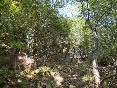 f0308898_21082872.jpg