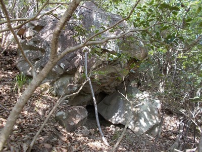 f0308898_21082893.jpg