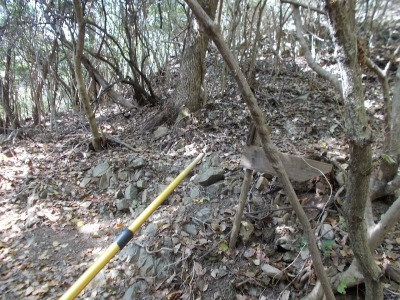 f0308898_21082895.jpg