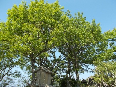 f0308898_21082991.jpg