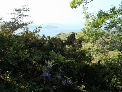 f0308898_21090771.jpg