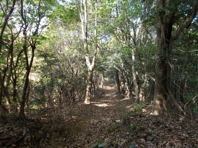 経ケ森(愛媛県松山市)_f0308898_21090815.jpg