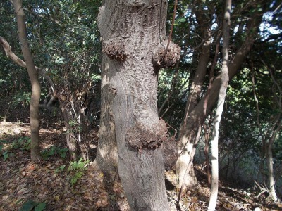 f0308898_21090855.jpg