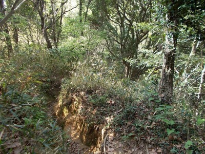 f0308898_21090893.jpg