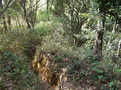 経ケ森(愛媛県松山市)_f0308898_21090893.jpg