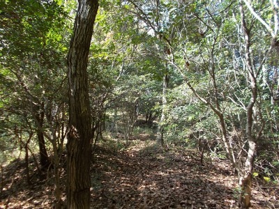 f0308898_21111085.jpg