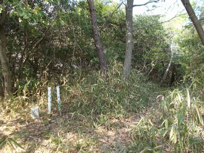 f0308898_21120557.jpg