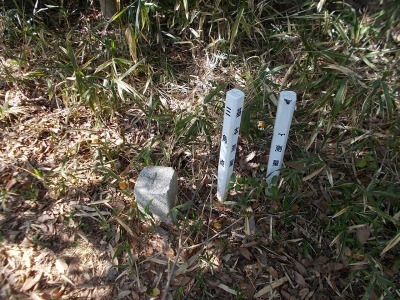 f0308898_21120595.jpg