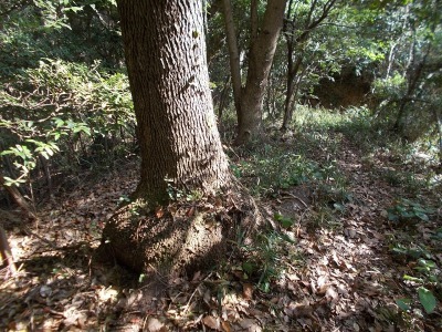 f0308898_21120608.jpg