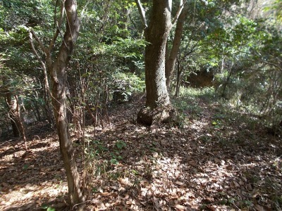 f0308898_21120612.jpg