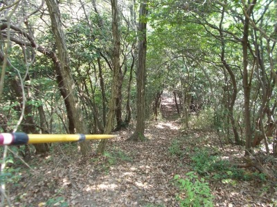 f0308898_21120622.jpg
