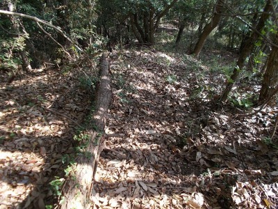 f0308898_21120680.jpg