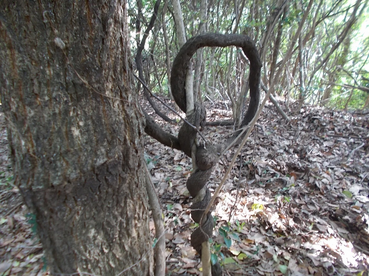 f0308898_21120699.jpg