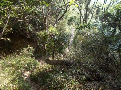f0308898_21120732.jpg