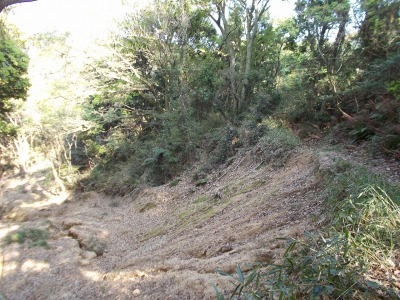 f0308898_21132912.jpg