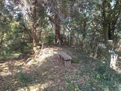 f0308898_21132954.jpg