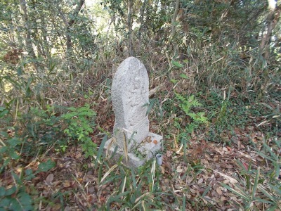f0308898_21133007.jpg