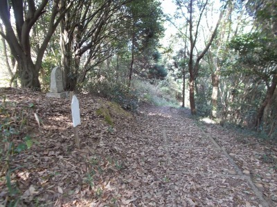 f0308898_21133064.jpg