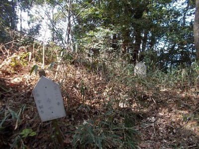 f0308898_21133136.jpg