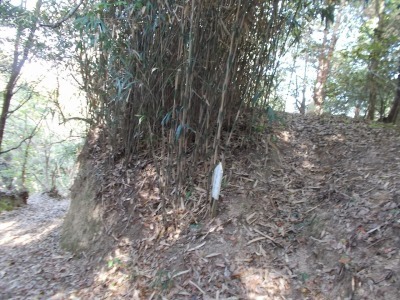f0308898_21141037.jpg
