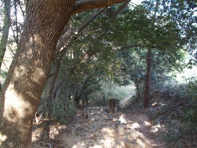 f0308898_21141194.jpg
