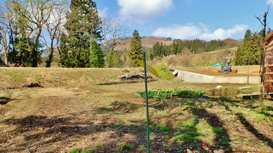 兼業農家周辺の桜事情は_c0336902_13185926.jpg
